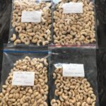 CASHEW Sample