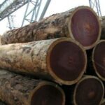 Wood2