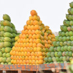the-mango