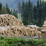 wood-