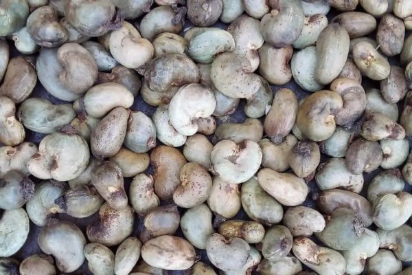 raw-cashews raw-cashews
