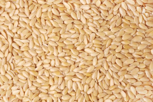 sesame-seeds sesame-seeds
